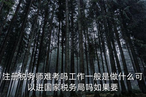 什么是稅務(wù)師，注冊稅務(wù)師能干什么待遇怎么樣
