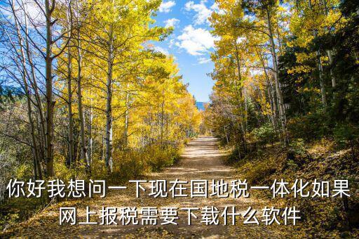 你好我想問(wèn)一下現(xiàn)在國(guó)地稅一體化如果網(wǎng)上報(bào)稅需要下載什么軟件