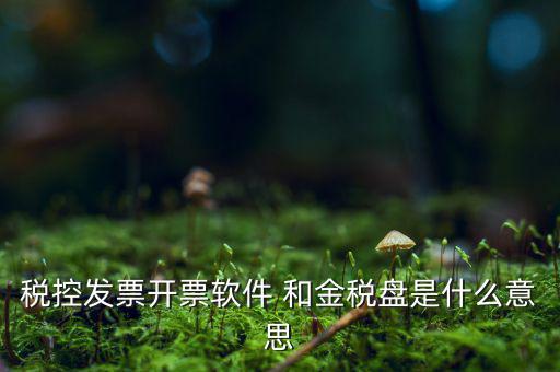 稅控系統(tǒng)指什么，稅控發(fā)票開票軟件 和金稅盤是什么意思