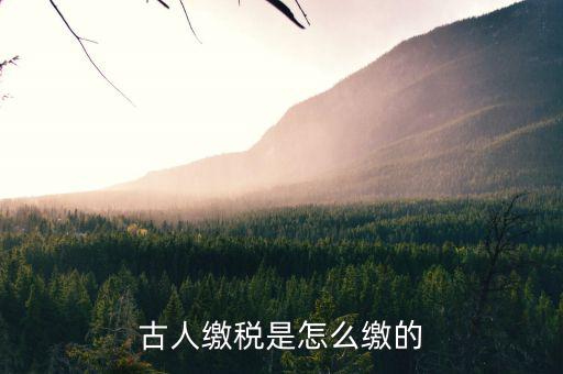 古代稅收交什么，古人繳稅是怎么繳的