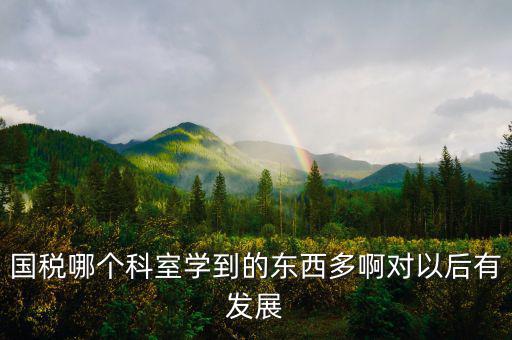 國(guó)稅有什么科室，國(guó)稅哪個(gè)科室學(xué)到的東西多啊對(duì)以后有發(fā)展