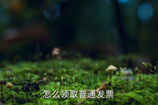 普通發(fā)票在什么地方領(lǐng)，怎么領(lǐng)取普通發(fā)票