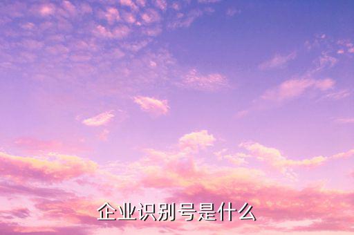 查詢公司什么納稅人識(shí)別號(hào)，納稅人識(shí)別號(hào)怎么查啊