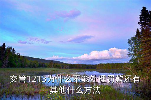 為什么不能催報處理，交管1213為什么不能處理罰款還有其他什么方法