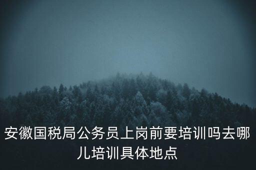 安徽國稅什么時候培訓(xùn)，安徽省稅務(wù)學(xué)校還在嗎那里的教學(xué)樓宿舍和操場都還在嗎沒被拆