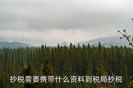 報(bào)稅查什么輔導(dǎo)信息，剛申請(qǐng)為一般納稅人在哪查看是否要經(jīng)過輔導(dǎo)期納稅申報(bào)初始化填5