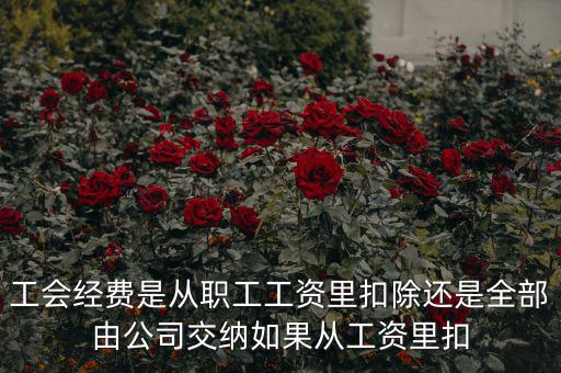 工會經(jīng)費是從職工工資里扣除還是全部由公司交納如果從工資里扣