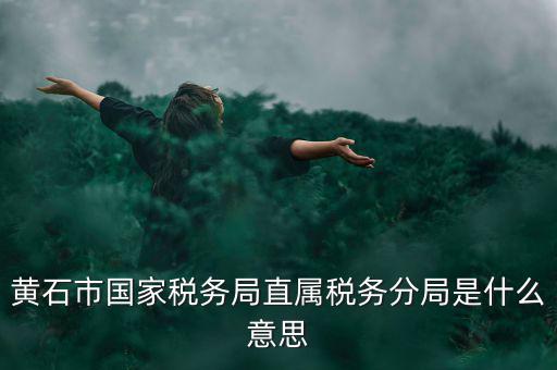 國稅直屬分局是什么局，國稅局是什么單位