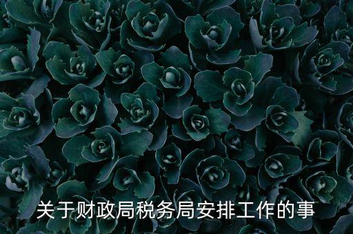國稅局什么工作計劃，關于財政局稅務局安排工作的事