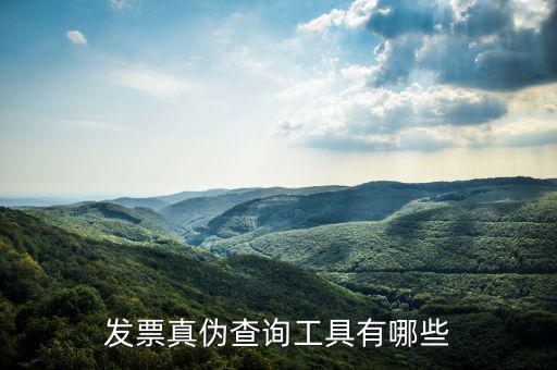 查發(fā)票用什么軟件下載，發(fā)票真?zhèn)尾樵児ぞ哂心男?/></a></span><span id=