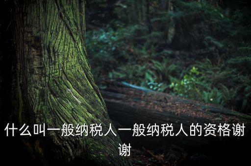 什么是一般納稅人資格證嗎，什么叫一般納稅人一般納稅人的資格謝謝