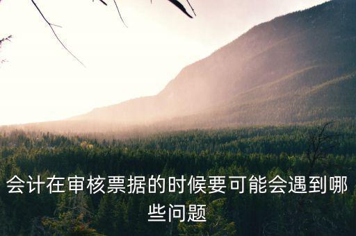審核憑證會出什么問題，在審核憑證時(shí)出現(xiàn)這個問題是怎么回事