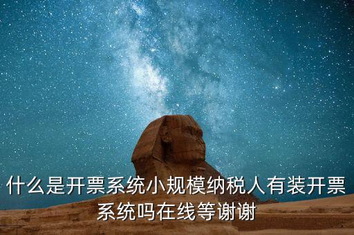 什么是開票系統小規(guī)模納稅人有裝開票系統嗎在線等謝謝