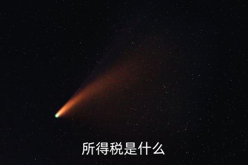 所得稅支出是什么，所得稅是什么