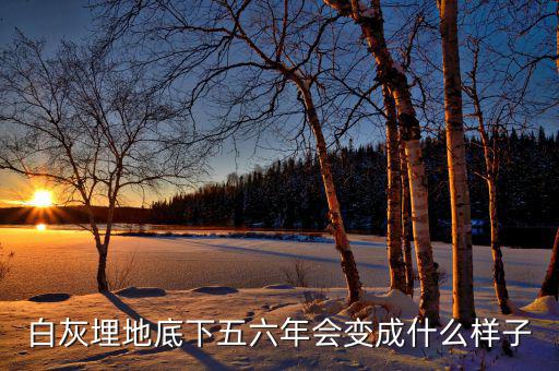 白灰埋地底下五六年會變成什么樣子