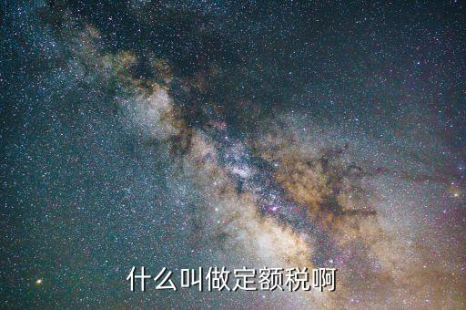 定額定稅是什么意思，什么叫做定額稅啊