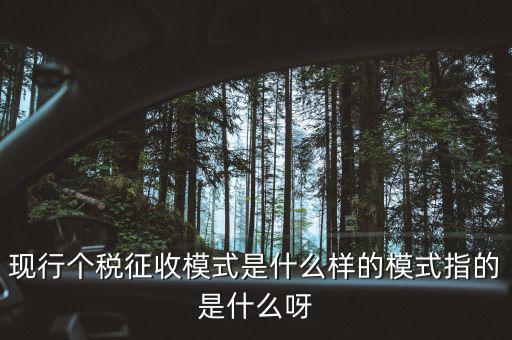 個(gè)人征稅系統(tǒng)是什么，你好補(bǔ)交個(gè)稅在稅局系統(tǒng)怎樣操作