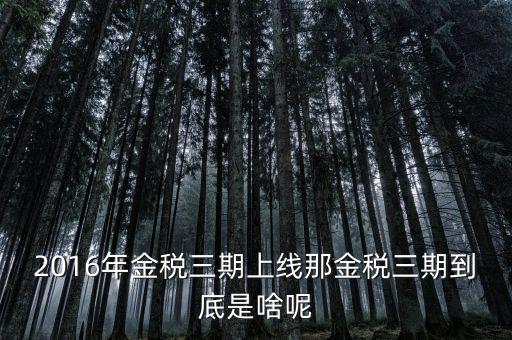 國(guó)稅金稅三期是什么意思，金稅三期是什么意思
