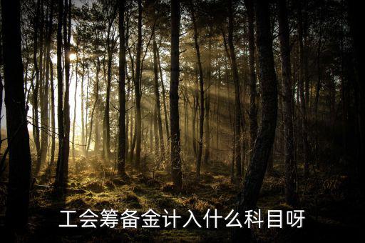 什么是工會(huì)籌備金，工會(huì)籌備金計(jì)入什么科目呀