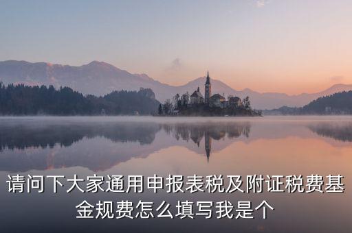 通用申報(bào)基金規(guī)費(fèi)包括什么，請(qǐng)問(wèn)下大家通用申報(bào)表稅及附證稅費(fèi)基金規(guī)費(fèi)怎么填寫我是個(gè)