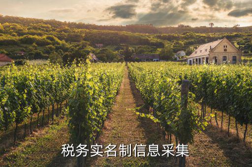 實(shí)名采集需要什么資料，實(shí)名制驗(yàn)證身份證信息采集有沒(méi)有這種身份證證件識(shí)別方式  搜