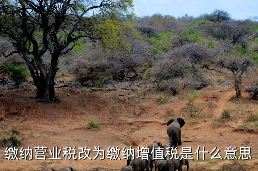 營業(yè)稅改為增值稅是什么意思，營業(yè)稅改增值稅指的是什么