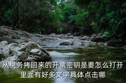 稅務(wù)密鑰是什么，增值稅專用發(fā)票辦理秘鑰是什么意思