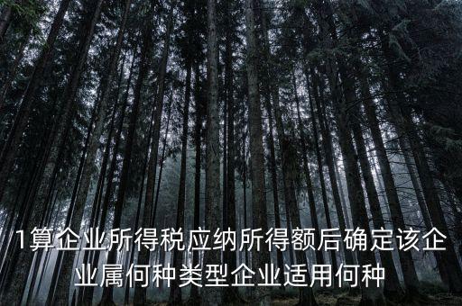 什么企業(yè)屬于小微企業(yè)所得稅，企業(yè)所得稅小微企業(yè)所得稅
