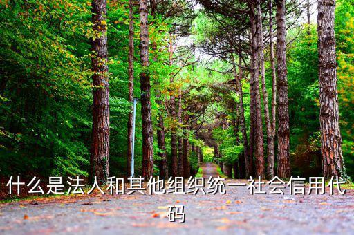 機(jī)關(guān)有社會(huì)信用代碼是什么意思，社會(huì)信用代碼與機(jī)構(gòu)信用代碼有什么不同