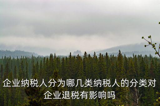 什么A級(jí)B級(jí)信用納稅人，A級(jí)增值稅一般納稅人C級(jí)增值稅一般納稅