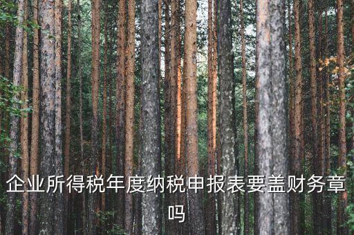 所得稅年報要蓋什么章，企業(yè)所得稅年度納稅申報表要蓋財務(wù)章嗎