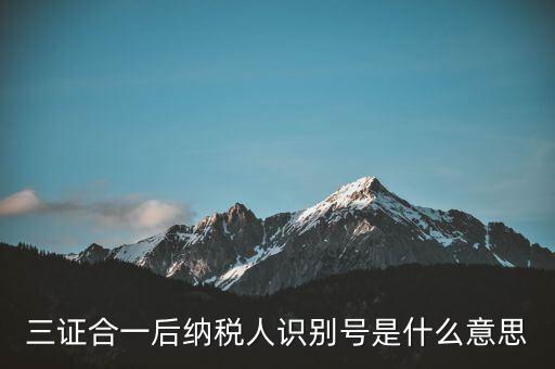 三證合一稅務(wù)識(shí)別號(hào)是什么意思，三證合一后納稅人識(shí)別號(hào)是什么意思