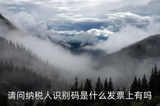 發(fā)票納稅人代碼是什么意思，請問納稅人識別碼是什么發(fā)票上有嗎