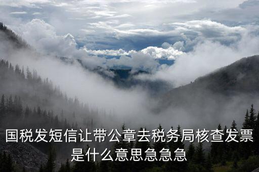 國稅發(fā)短信讓帶公章去稅務局核查發(fā)票是什么意思急急急