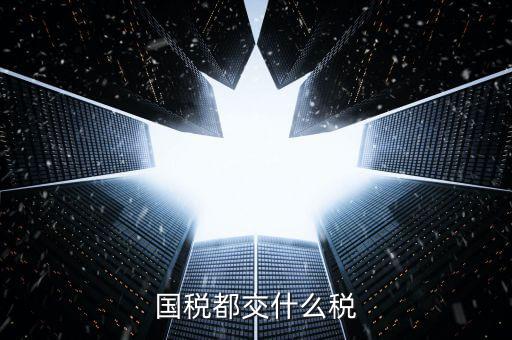 國(guó)稅稅款是什么，國(guó)稅都交什么稅