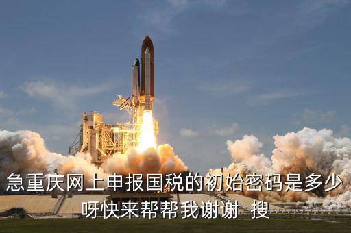 網(wǎng)上國(guó)稅申報(bào)的密碼是什么，急重慶網(wǎng)上申報(bào)國(guó)稅的初始密碼是多少呀快來(lái)幫幫我謝謝  搜