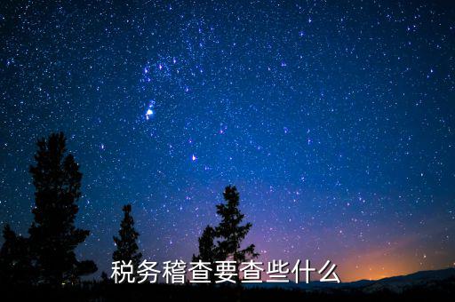 稅務稽查要查些什么