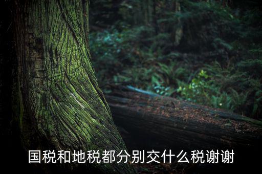 國(guó)稅和地稅都分別交什么稅謝謝