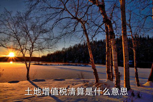 土地增值稅納稅清算什么意思，土地增值稅清算