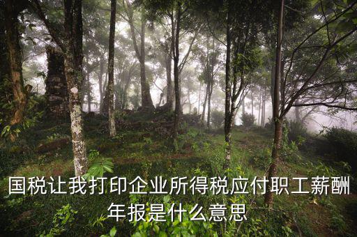 所得稅年報是什么意思，企業(yè)所得稅年報是什么意思怎么報去年4個季度都報了呀我是