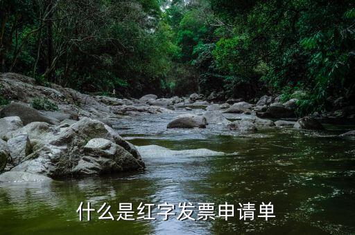 紅字申請單是什么意思，由銷售方申請開具紅字發(fā)票是什么意思