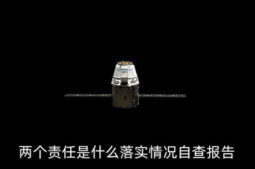兩個責(zé)任是什么落實情況自查報告