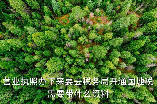 有了營業(yè)執(zhí)照要帶什么去辦稅，拿到營業(yè)執(zhí)照銀行開戶后去辦稅帶什么證件