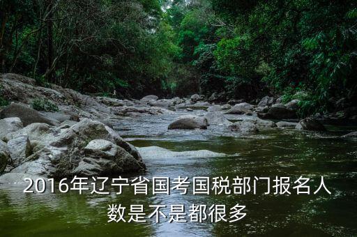 遼寧國(guó)稅什么時(shí)候報(bào)道，國(guó)考公務(wù)員遼寧國(guó)稅聽(tīng)說(shuō)7月份報(bào)到是式工作了嗎