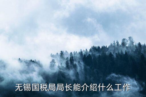 無錫地稅局長接待日是什么，無錫國稅局局長能介紹什么工作