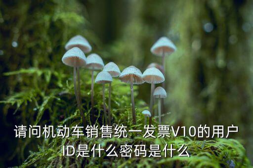 發(fā)票登錄密碼是什么，國稅局發(fā)票軟件里用戶代碼和密碼是什么