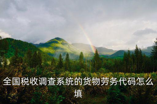 商品和勞務(wù)編碼是什么，貨物勞務(wù)代碼如何填
