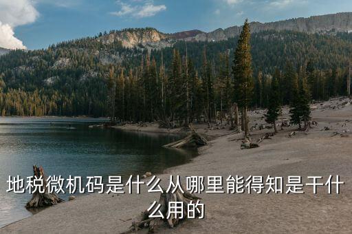 地稅登入碼是什么，地稅管理碼與稅號(hào)是同一個(gè)嗎我想知道稅務(wù)登記證上的稅字XXXXX