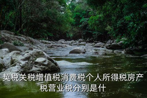 契稅關(guān)稅增值稅消費(fèi)稅個(gè)人所得稅房產(chǎn)稅營(yíng)業(yè)稅分別是什