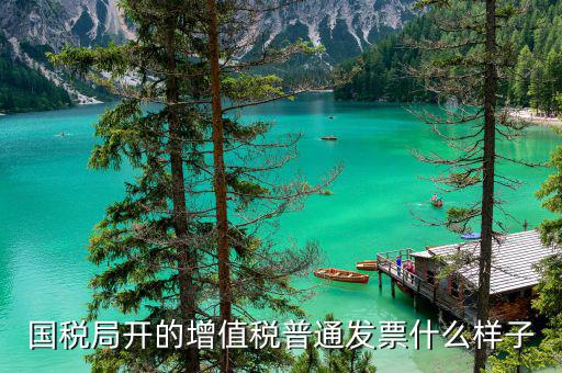 普通票是什么樣子的，什么是普通發(fā)票普通發(fā)票包括多少種具體都是什么樣式的啊搜